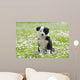 BORDER COLLIE, 2 MONTHS Wall Mural