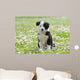 BORDER COLLIE, 2 MONTHS Wall Mural