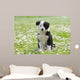 BORDER COLLIE, 2 MONTHS Wall Mural