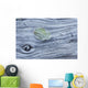 Frost covered log and leaf along mackenzie beach at sunrise;Tofino Wall Mural