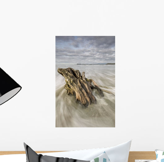 The tide coming in and flowing around a sunken piece of driftwood Wall Mural