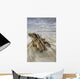The tide coming in and flowing around a sunken piece of driftwood Wall Mural