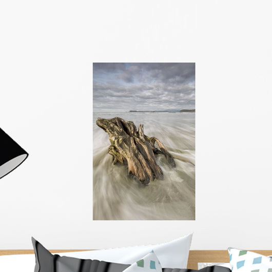 The tide coming in and flowing around a sunken piece of driftwood Wall Mural