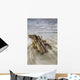 The tide coming in and flowing around a sunken piece of driftwood Wall Mural