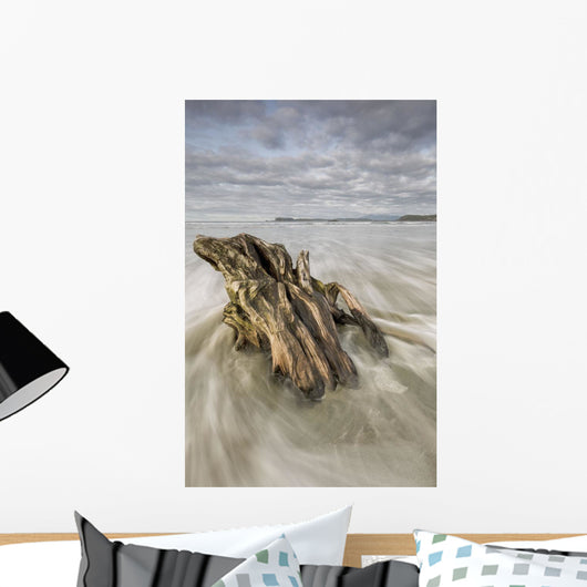 The tide coming in and flowing around a sunken piece of driftwood Wall Mural