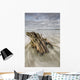 The tide coming in and flowing around a sunken piece of driftwood Wall Mural