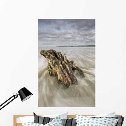 The tide coming in and flowing around a sunken piece of driftwood Wall Mural