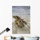 The tide coming in and flowing around a sunken piece of driftwood Wall Mural