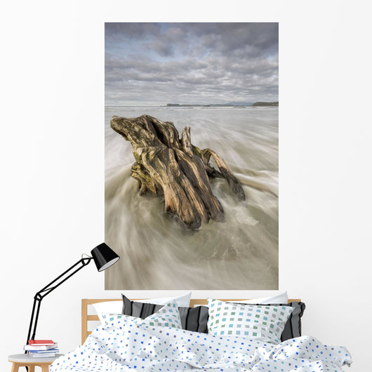 The tide coming in and flowing around a sunken piece of driftwood Wall Mural