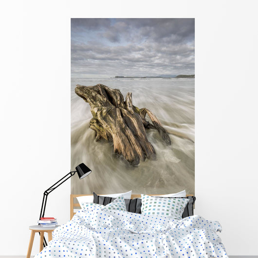 The tide coming in and flowing around a sunken piece of driftwood Wall Mural