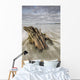 The tide coming in and flowing around a sunken piece of driftwood Wall Mural
