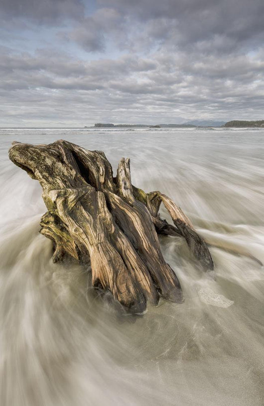 The tide coming in and flowing around a sunken piece of driftwood Wall Mural