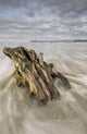 The tide coming in and flowing around a sunken piece of driftwood Wall Mural