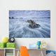 The tide coming in and flowing around a sunken piece of driftwood Wall Mural