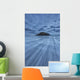 Long Exposure Of Water Flowing At Long Beach Wall Mural