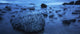 Florencia Beach Wall Mural