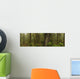 The Rainforest Wall Mural