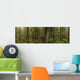 The Rainforest Wall Mural