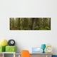 The Rainforest Wall Mural