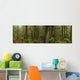 The Rainforest Wall Mural