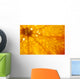 Orange Wall Mural