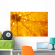 Orange Wall Mural