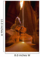 United States of America, Antelope Canyon Wall Mural