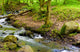 Rocky River
