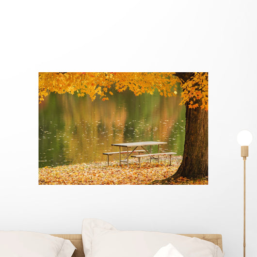 A picnic table beside a tranquil lake with golden leaves on the trees Wall Mural