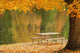 A picnic table beside a tranquil lake with golden leaves on the trees Wall Mural