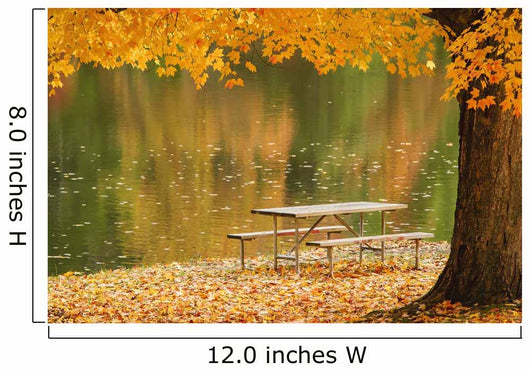 A picnic table beside a tranquil lake with golden leaves on the trees Wall Mural