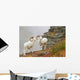 Dall's sheep rams standing by rock outcrop Wall Mural