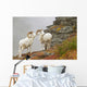 Dall's sheep rams standing by rock outcrop Wall Mural