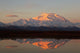 Alpenglow On Mt Mckinley Wall Mural