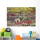 Gray Wolf Walking Along Tundra Ridge Fall, Dwarf Birch Wall Mural