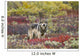 Gray Wolf Walking Along Tundra Ridge Fall, Dwarf Birch Wall Mural