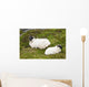 Sheep laying on the grass;Bogroad, county galway, ireland Wall Mural