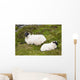 Sheep laying on the grass;Bogroad, county galway, ireland Wall Mural