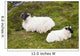 Sheep laying on the grass;Bogroad, county galway, ireland Wall Mural