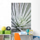 Close Up Of Water Droplets On A Silversword Plant Wall Mural