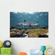 Fiji, Beqa Lagoon, Whitetip Reef Shark Wall Mural