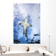 Grand Bahamas, West End, Lemon Shark Underwater With Remoras Wall Mural