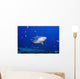 Fiji, Bequ Lagoon, Bull Shark Wall Mural