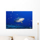 Fiji, Bequ Lagoon, Bull Shark Wall Mural