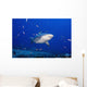 Fiji, Bequ Lagoon, Bull Shark Wall Mural