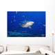 Fiji, Bequ Lagoon, Bull Shark Wall Mural