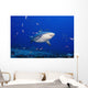 Fiji, Bequ Lagoon, Bull Shark Wall Mural