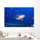 Fiji, Bequ Lagoon, Bull Shark Wall Mural