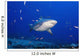 Fiji, Bequ Lagoon, Bull Shark Wall Mural