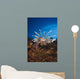 Fiji, Lionfish Wall Mural